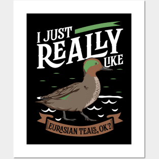 I just really like Eurasian Teals Posters and Art